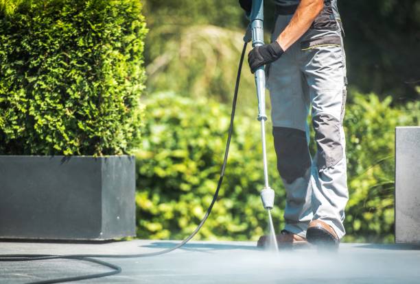 Animal Enclosure Cleaning in Rosedale, MS