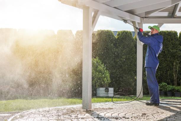 Best Roof Washing  in Rosedale, MS